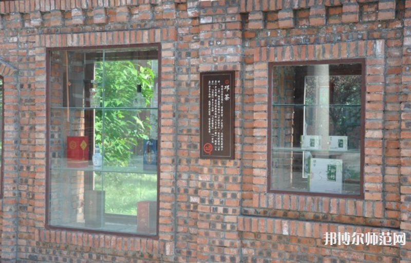 自貢幼師職業(yè)技術(shù)學(xué)校2023年報名條件、招生要求、招生對象