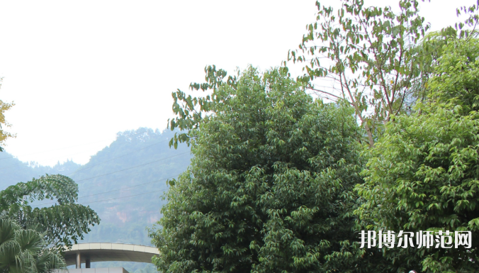 自貢大安幼師職業(yè)技術(shù)學(xué)校2023年學(xué)費(fèi)、收費(fèi)多少