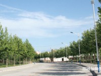 西北大學(xué)師范學(xué)院太白校區(qū)2023年報(bào)名條件、招生要求、招生對象