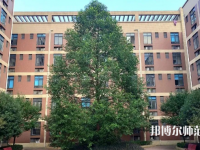 四川師范大學(xué)成都學(xué)院眉山校區(qū)2023年怎么樣、好不好