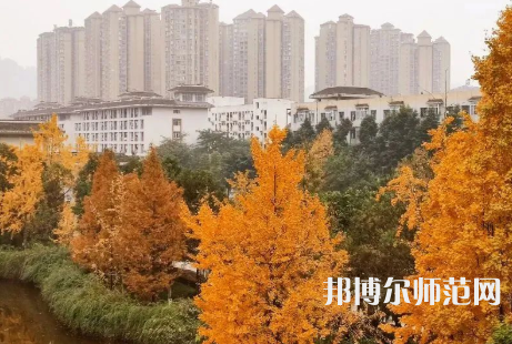 雅安職業(yè)技術師范學院2023年怎么樣、好不好