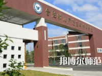 2023年合肥幼兒師范高等?？茖W(xué)校是民辦大學(xué)還是公辦
