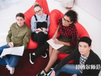 天津職業(yè)技術師范大學介紹、地址