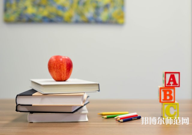西昌第一幼師職業(yè)技術中學介紹、地址